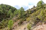 Barrancp de la Escarabehuela. Enguidanos. Cuenca