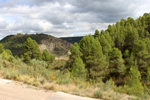 Barrancp de la Escarabehuela. Enguidanos. Cuenca
