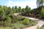 Barrancp de la Escarabehuela. Enguidanos. Cuenca