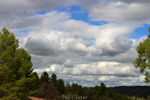 Barrancp de la Escarabehuela. Enguidanos. Cuenca