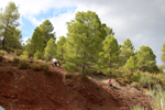 Barrancp de la Escarabehuela. Enguidanos. Cuenca