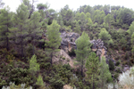 Barrancp de la Escarabehuela. Enguidanos. Cuenca