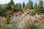 Barrancp de la Escarabehuela. Enguidanos. Cuenca