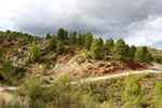 Barrancp de la Escarabehuela. Enguidanos. Cuenca