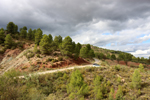 Barrancp de la Escarabehuela. Enguidanos. Cuenca