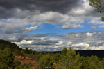 Barrancp de la Escarabehuela. Enguidanos. Cuenca