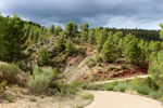 Barrancp de la Escarabehuela. Enguidanos. Cuenca