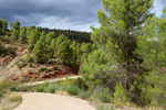 Barrancp de la Escarabehuela. Enguidanos. Cuenca