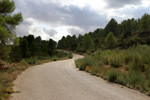 Barrancp de la Escarabehuela. Enguidanos. Cuenca