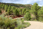Barrancp de la Escarabehuela. Enguidanos. Cuenca