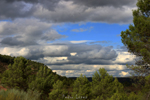 Barrancp de la Escarabehuela. Enguidanos. Cuenca