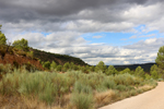 Barrancp de la Escarabehuela. Enguidanos. Cuenca