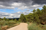 Barrancp de la Escarabehuela. Enguidanos. Cuenca