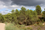 Barrancp de la Escarabehuela. Enguidanos. Cuenca