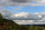 Barrancp de la Escarabehuela. Enguidanos. Cuenca