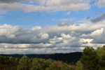 Barrancp de la Escarabehuela. Enguidanos. Cuenca