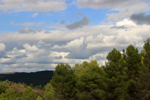 Barrancp de la Escarabehuela. Enguidanos. Cuenca