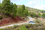 Barrancp de la Escarabehuela. Enguidanos. Cuenca