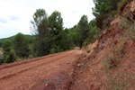 El Retamal. La Pesquera. Cuenca