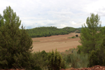 El Retamal. La Pesquera. Cuenca