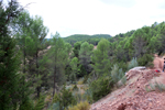 El Retamal. La Pesquera. Cuenca