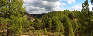 Barrancp de la Escarabehuela. Enguidanos. Cuenca