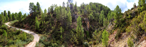 Barrancp de la Escarabehuela. Enguidanos. Cuenca
