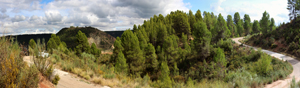 Barrancp de la Escarabehuela. Enguidanos. Cuenca