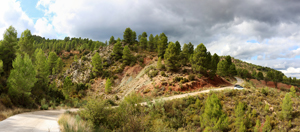 Barrancp de la Escarabehuela. Enguidanos. Cuenca