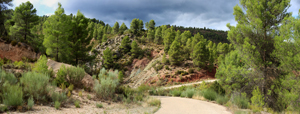 Barrancp de la Escarabehuela. Enguidanos. Cuenca