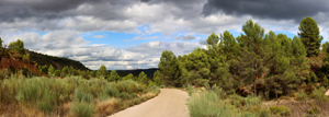 Barrancp de la Escarabehuela. Enguidanos. Cuenca