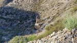Barranco del Jaroso. Sierra Almagrera, Cuevas de Almanzora. Almería