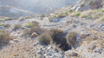 Barranco del Jaroso. Sierra Almagrera, Cuevas de Almanzora. Almería