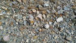 Barranco del Jaroso. Sierra Almagrera, Cuevas de Almanzora. Almería