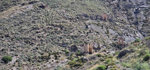Barranco del Jaroso. Sierra Almagrera, Cuevas de Almanzora. Almería