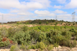  Minglanilla. Cuenca