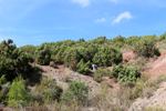  Minglanilla. Cuenca