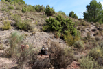  Minglanilla. Cuenca