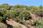  Minglanilla. Cuenca