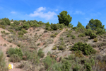  Minglanilla. Cuenca