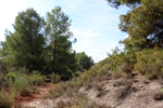  Minglanilla. Cuenca
