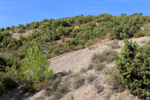  Minglanilla. Cuenca