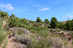  Minglanilla. Cuenca