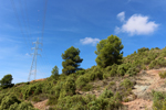  Minglanilla. Cuenca