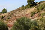  Minglanilla. Cuenca