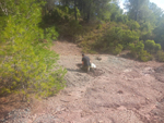  Minglanilla. Cuenca