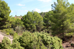  Minglanilla. Cuenca