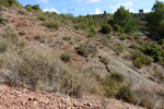  Minglanilla. Cuenca
