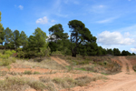 Los Molinillos.  Minglanilla. Cuenca