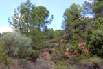 Los Molinillos.  Minglanilla. Cuenca